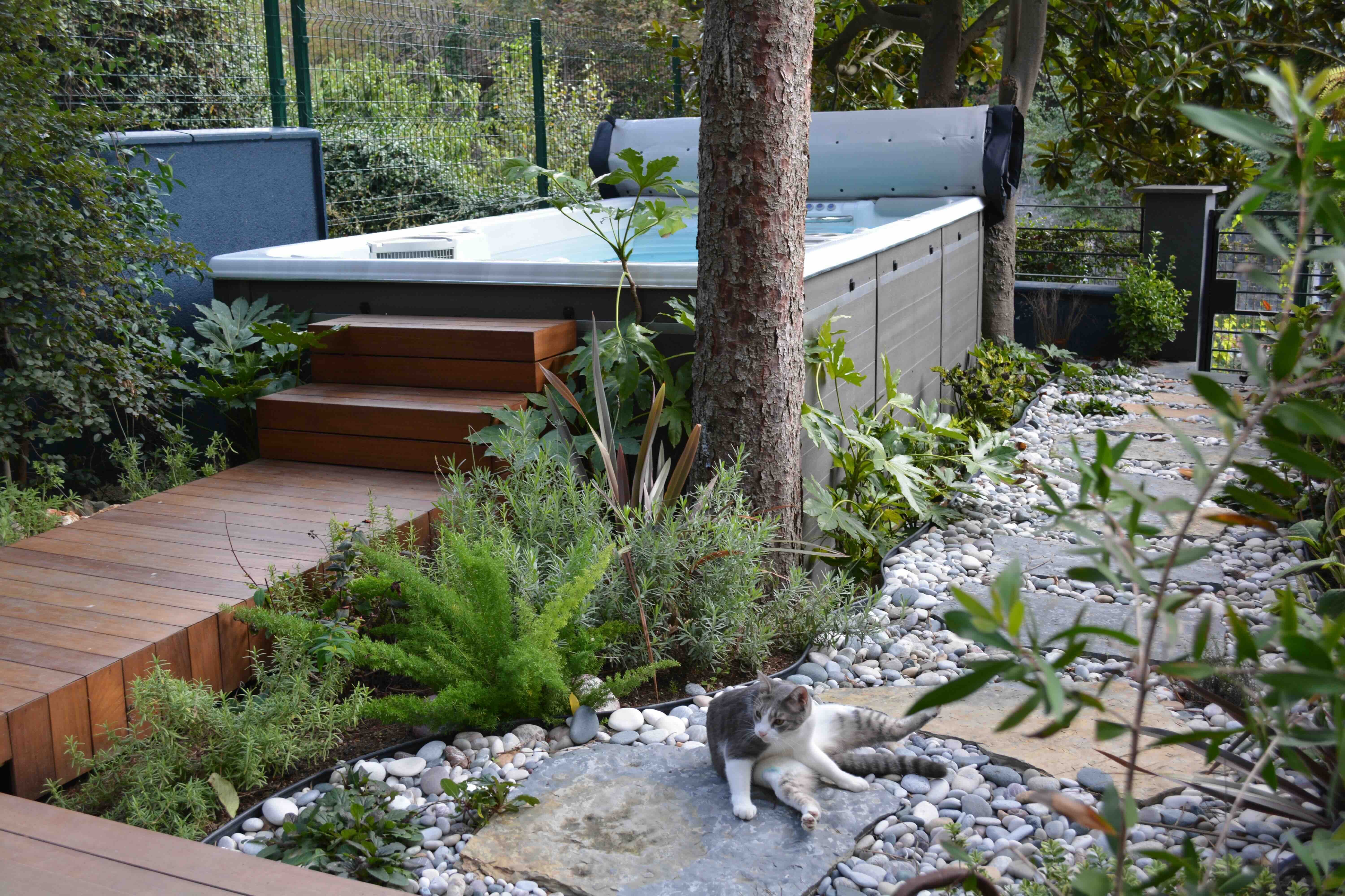 A freestanding swim spa installation with wooden walkway and stairs. The swim spa is well integrated into the garden with a stepping stone path and planting alongside it.
