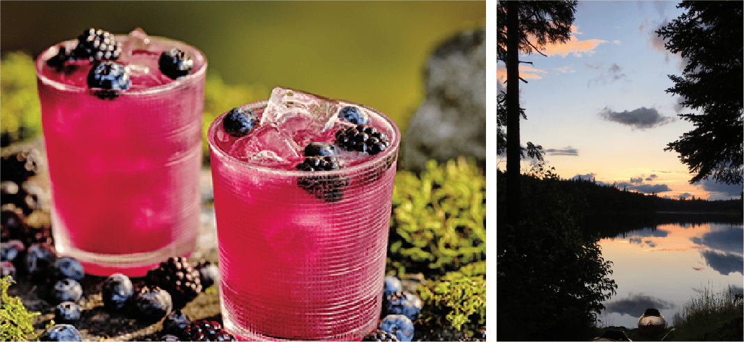 A berry infused gin drink for a BBQ Cabin party. 