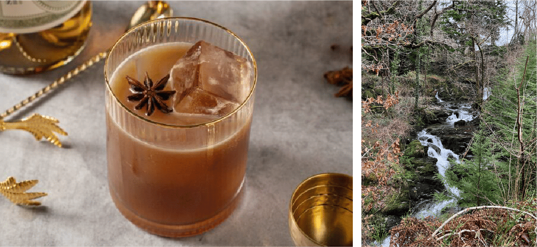 An absinthe and rootbeer drink for a BBQ Cabin Party.