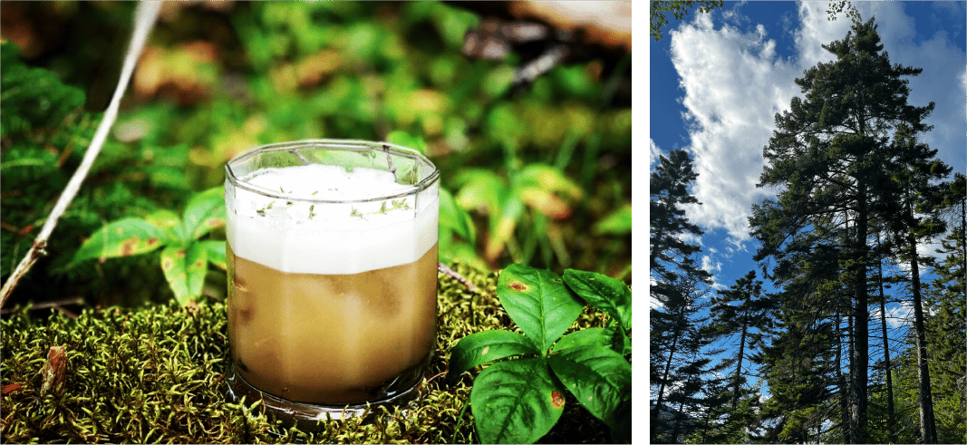Whiskey drink for a sophisticated BBQ Cabin party.