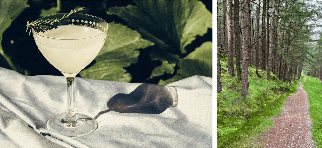 A fancy gimlet drink for a sophisticated BBQ Cabin party.