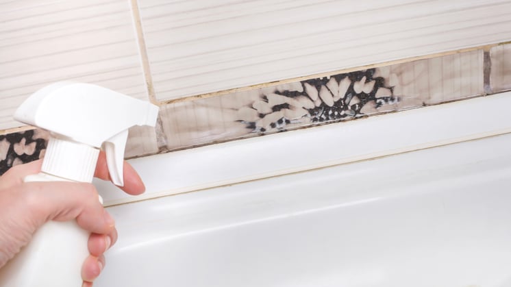 A person in greater Manchester removing pink mould from their shower grout.